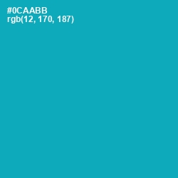 #0CAABB - Bondi Blue Color Image