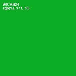 #0CAB24 - Forest Green Color Image