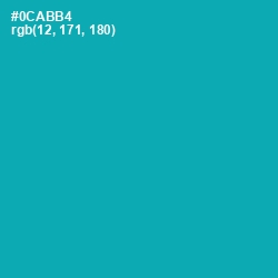 #0CABB4 - Eastern Blue Color Image