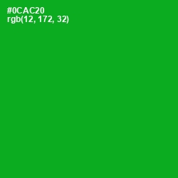 #0CAC20 - Forest Green Color Image