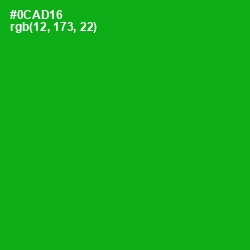 #0CAD16 - Forest Green Color Image