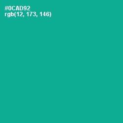 #0CAD92 - Persian Green Color Image