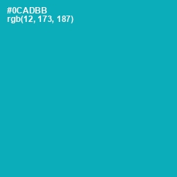 #0CADBB - Bondi Blue Color Image