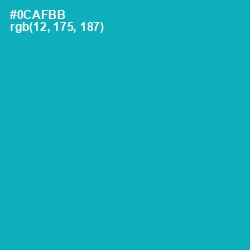 #0CAFBB - Bondi Blue Color Image