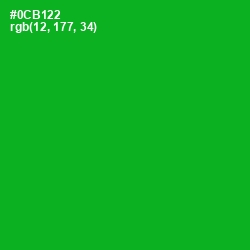 #0CB122 - Forest Green Color Image