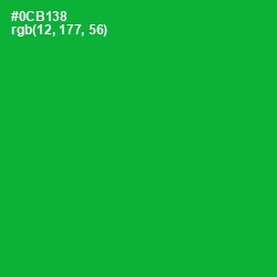 #0CB138 - Forest Green Color Image