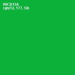 #0CB13A - Forest Green Color Image