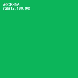 #0CB45A - Jade Color Image