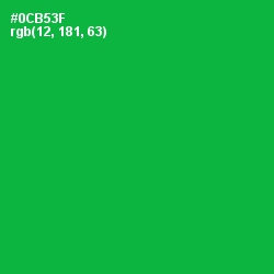 #0CB53F - Forest Green Color Image