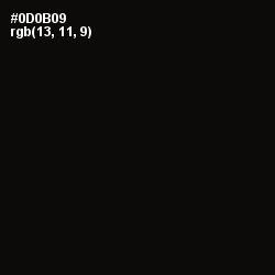 #0D0B09 - Cod Gray Color Image