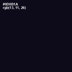 #0D0B1A - Ebony Color Image
