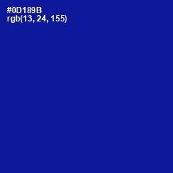#0D189B - Ultramarine Color Image
