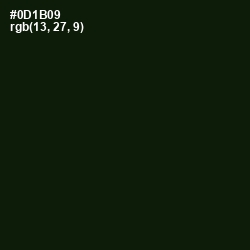 #0D1B09 - Black Forest Color Image