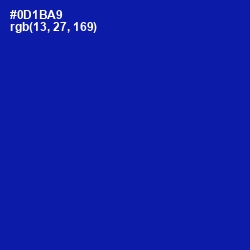 #0D1BA9 - Torea Bay Color Image