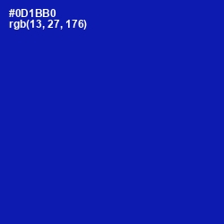 #0D1BB0 - International Klein Blue Color Image