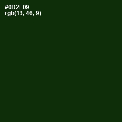 #0D2E09 - Palm Green Color Image