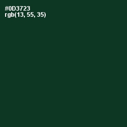 #0D3723 - Bottle Green Color Image