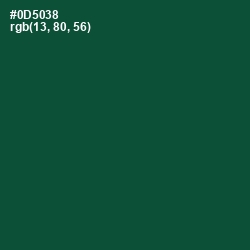 #0D5038 - Te Papa Green Color Image