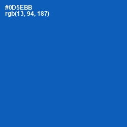 #0D5EBB - Fun Blue Color Image