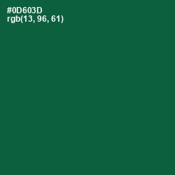 #0D603D - Fun Green Color Image