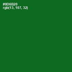 #0D6B20 - Fun Green Color Image