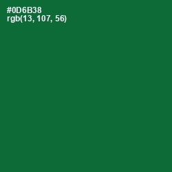 #0D6B38 - Fun Green Color Image