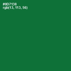 #0D7138 - Fun Green Color Image