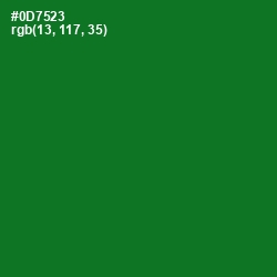 #0D7523 - Fun Green Color Image