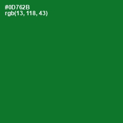 #0D762B - Fun Green Color Image