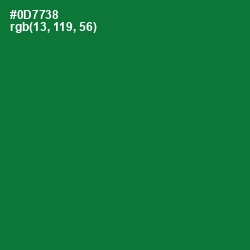 #0D7738 - Fun Green Color Image