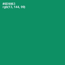 #0D9063 - Elf Green Color Image