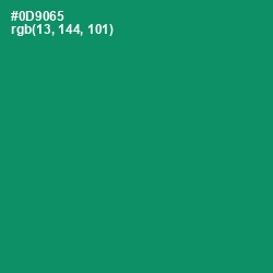 #0D9065 - Elf Green Color Image