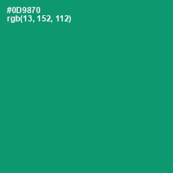 #0D9870 - Observatory Color Image