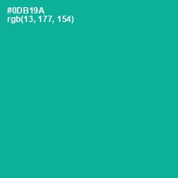 #0DB19A - Persian Green Color Image