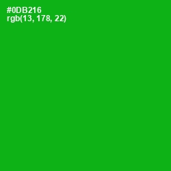 #0DB216 - Forest Green Color Image