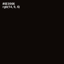 #0E0906 - Cod Gray Color Image