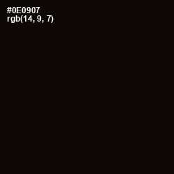 #0E0907 - Cod Gray Color Image