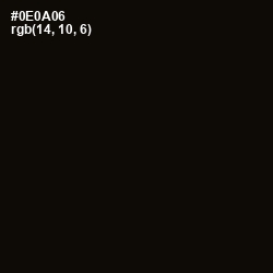 #0E0A06 - Cod Gray Color Image