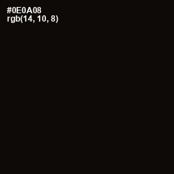 #0E0A08 - Cod Gray Color Image