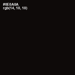 #0E0A0A - Cod Gray Color Image