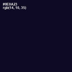 #0E0A23 - Black Pearl Color Image