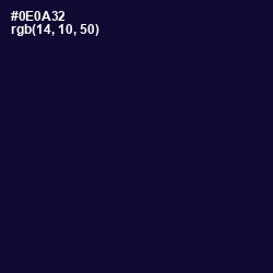 #0E0A32 - Black Rock Color Image