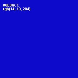 #0E0ACC - Dark Blue Color Image