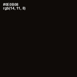 #0E0B08 - Cod Gray Color Image
