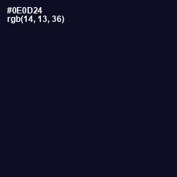 #0E0D24 - Black Pearl Color Image