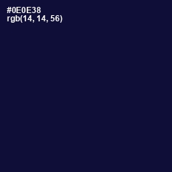 #0E0E38 - Black Rock Color Image