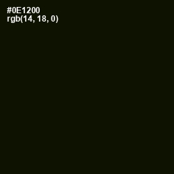 #0E1200 - Black Forest Color Image