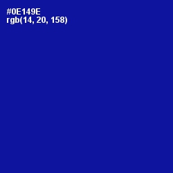 #0E149E - Ultramarine Color Image