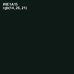 #0E1A15 - Racing Green Color Image