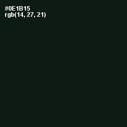 #0E1B15 - Racing Green Color Image